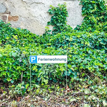 Loewe Gruen Am Rhein Appartement