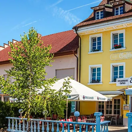 Loewe Gruen Am Rhein Appartement *