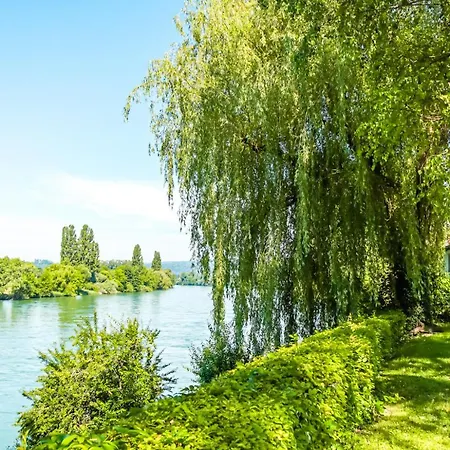 Loewe Gruen Am Rhein *