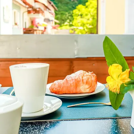 Appartement Loewe Gruen Am Rhein