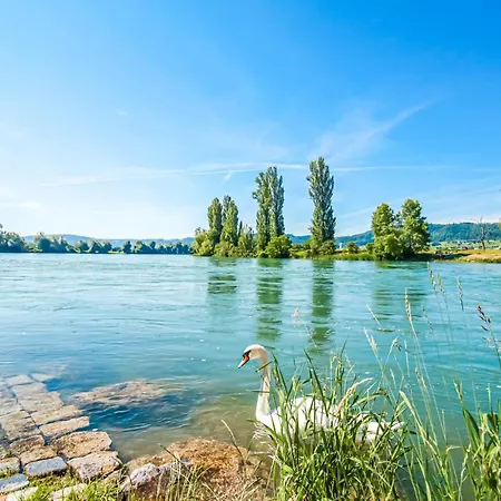 Loewe Gruen Am Rhein * Kussaberg