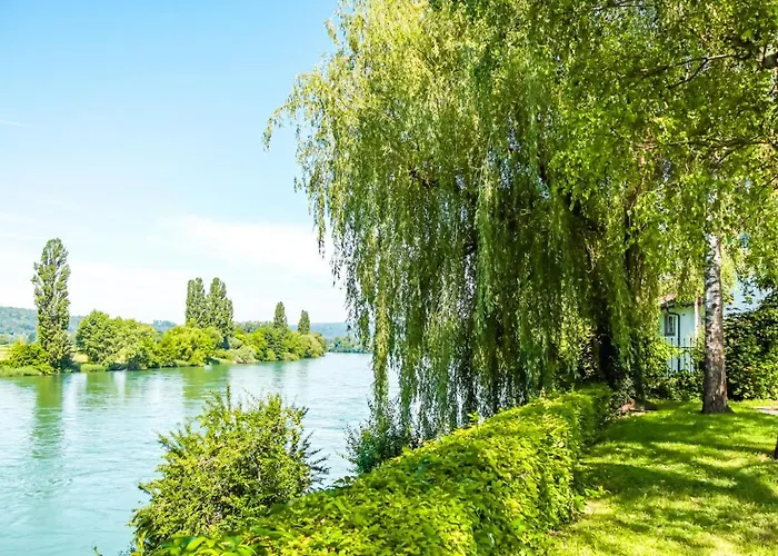 Löwe Grün Am Rhein *