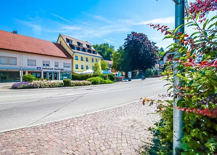 Löwe Grün Am Rhein *