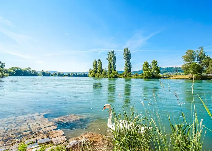 Löwe Grün Am Rhein * Kussaberg